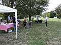 img 196